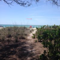 red-kite-at-beach-jpg
